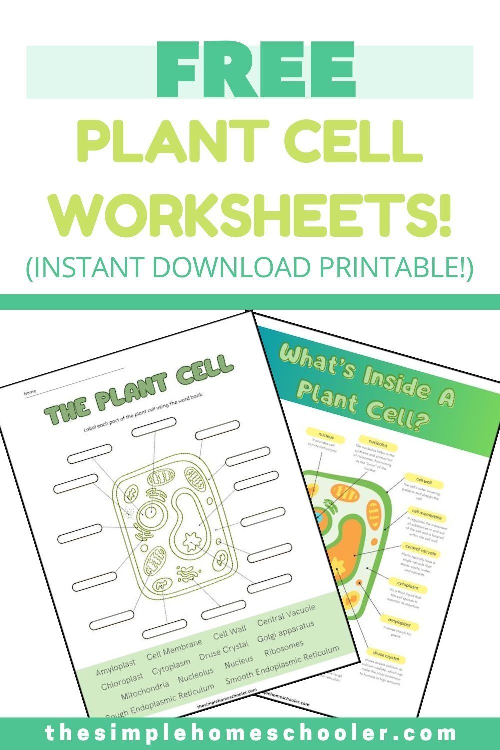 Free Plant Cell Worksheets With Answer Key The Simple Homeschooler
