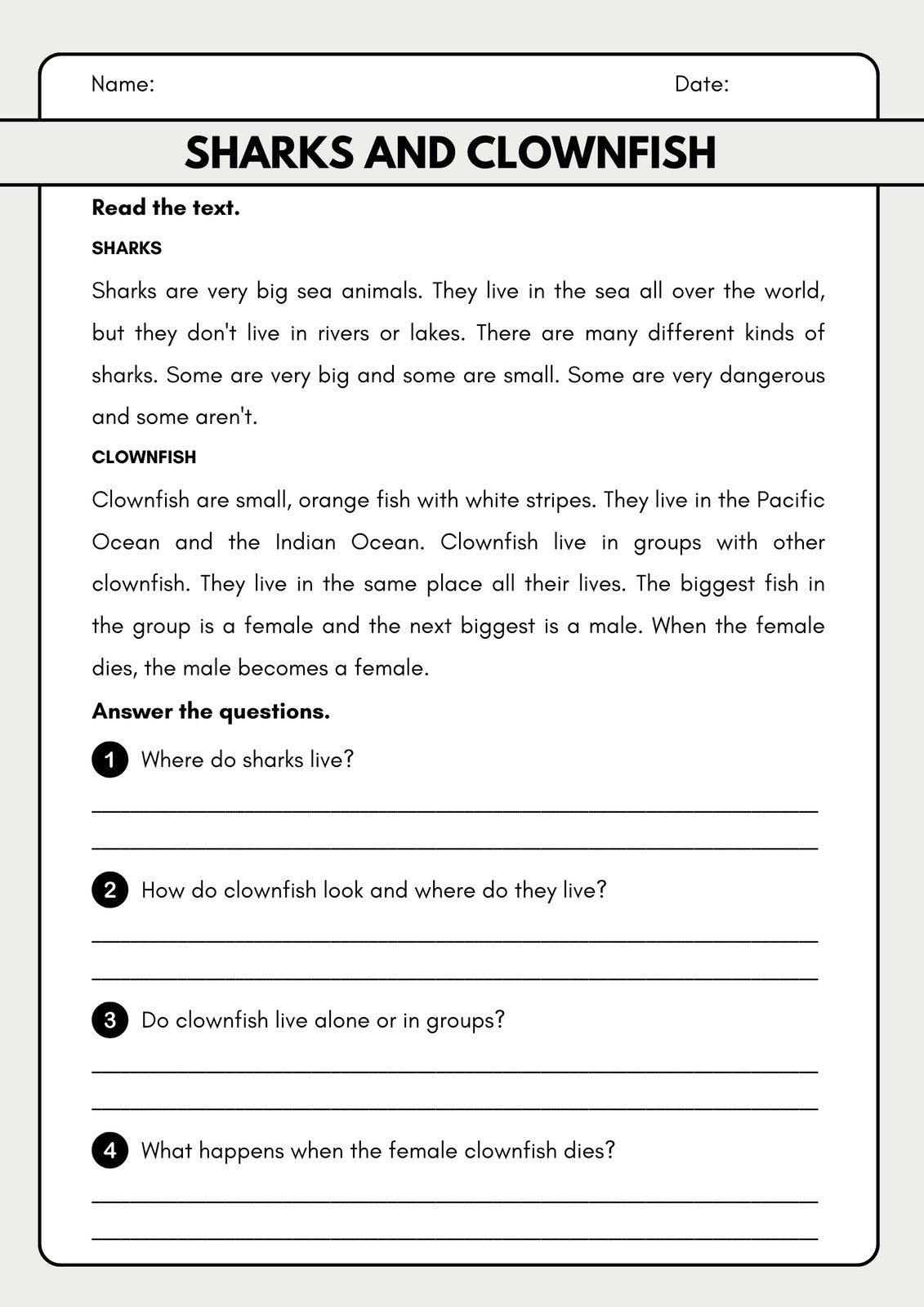 3rd Grade Reading Comprehension Worksheets Online