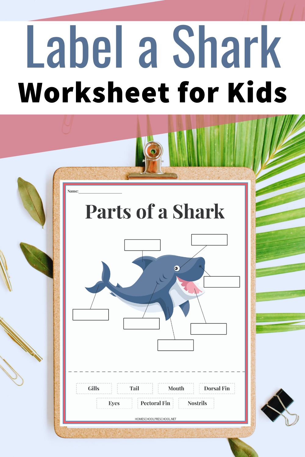 Free Printable Label It Worksheets Kindergarten
