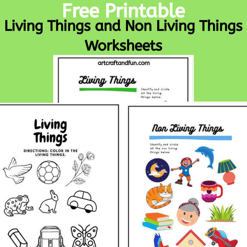 Free Printable Living Things And Non Living Things Worksheets 
