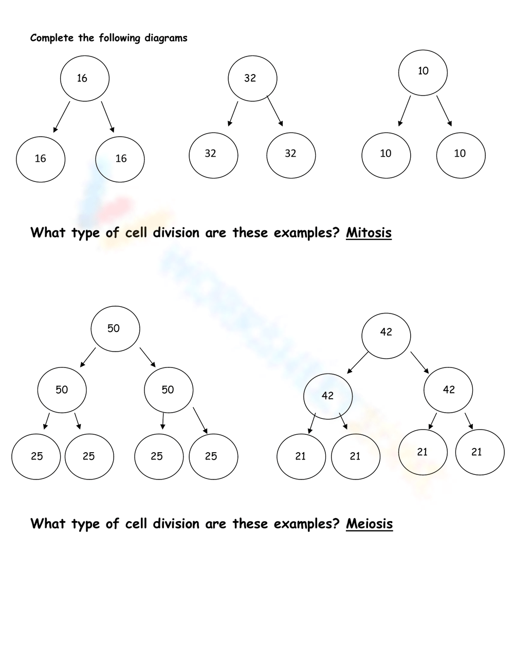 Free Printable Mitosis Verses Meiosis Worksheets Worksheets Library