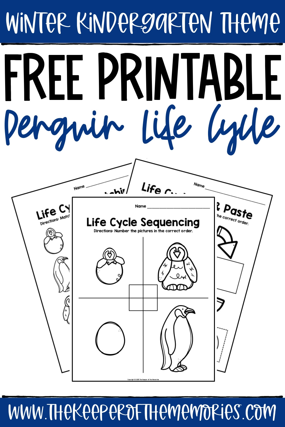 Free Printable Penguin Life Cycle Worksheets The Keeper Of The Memories
