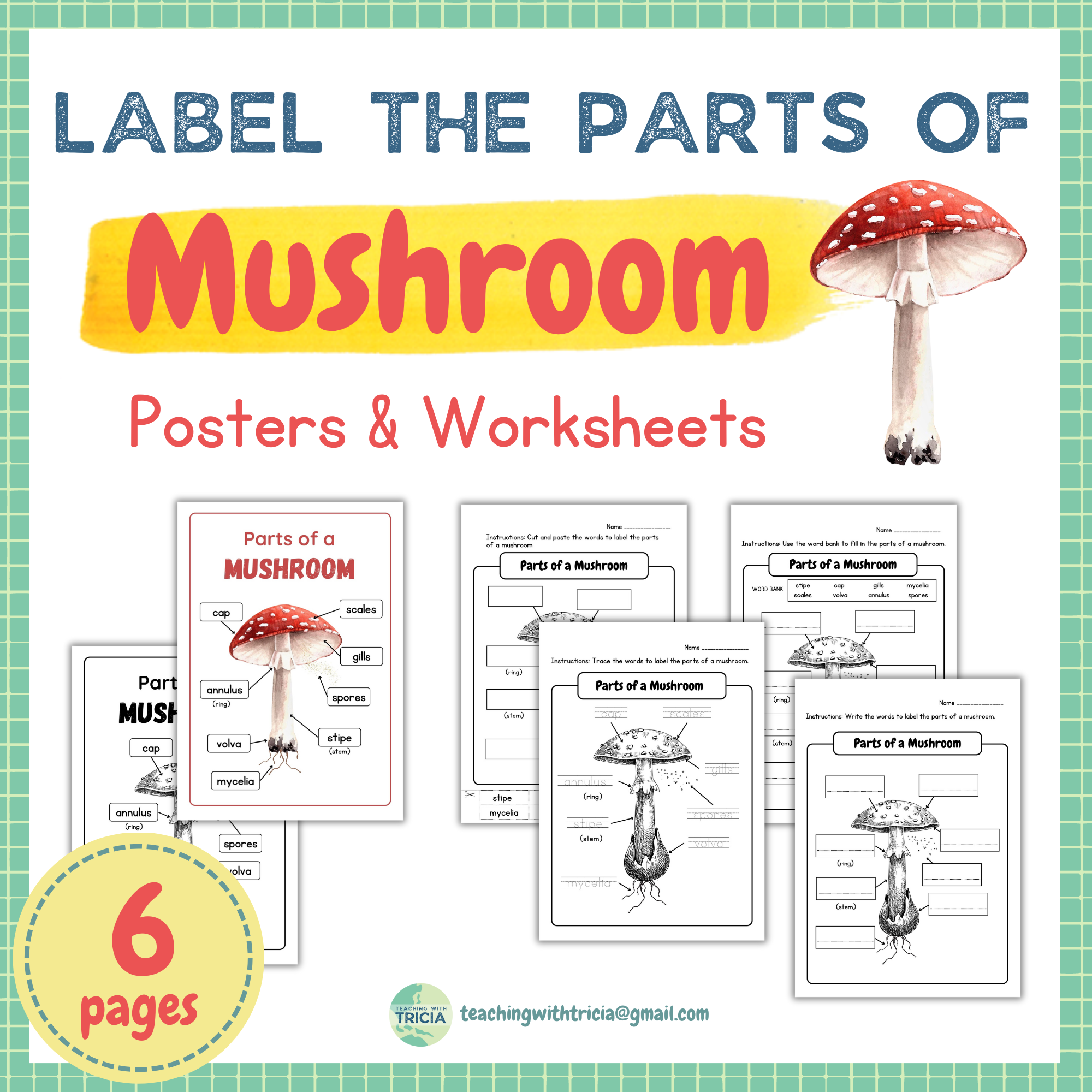 Fungi Anatomy Parts Of Mushroom Posters U0026 Worksheets Classful