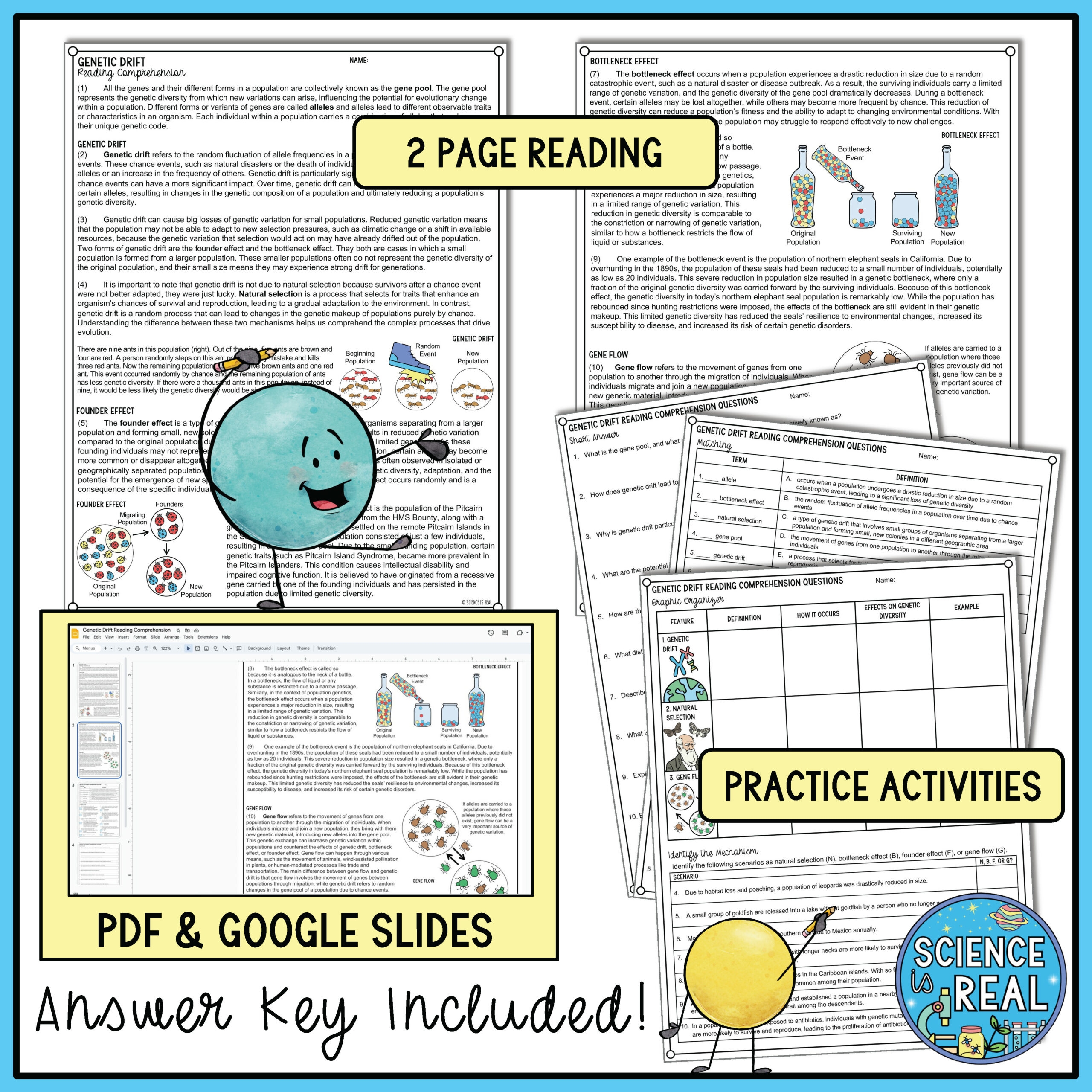 Genetic Drift Reading Comprehension And Worksheets Classful