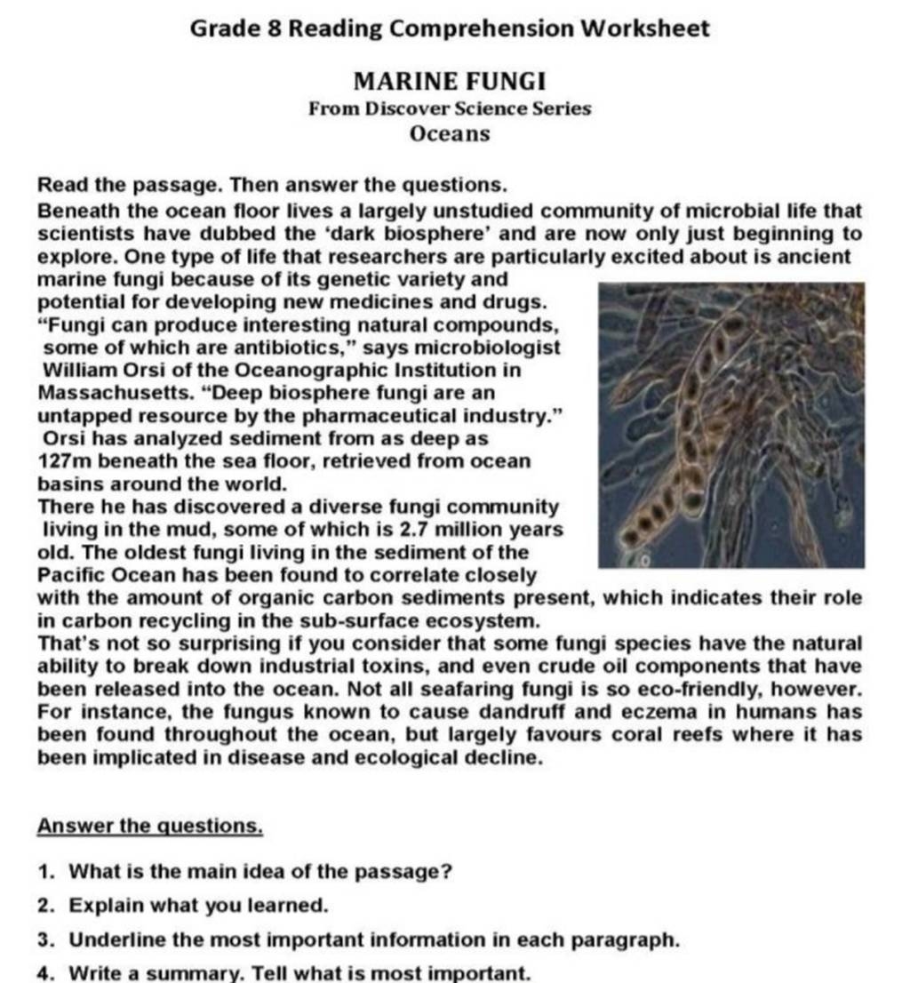 Grade 8 Reading Comprehension Worksheet MARINE FUNGI From Discover Scienc 