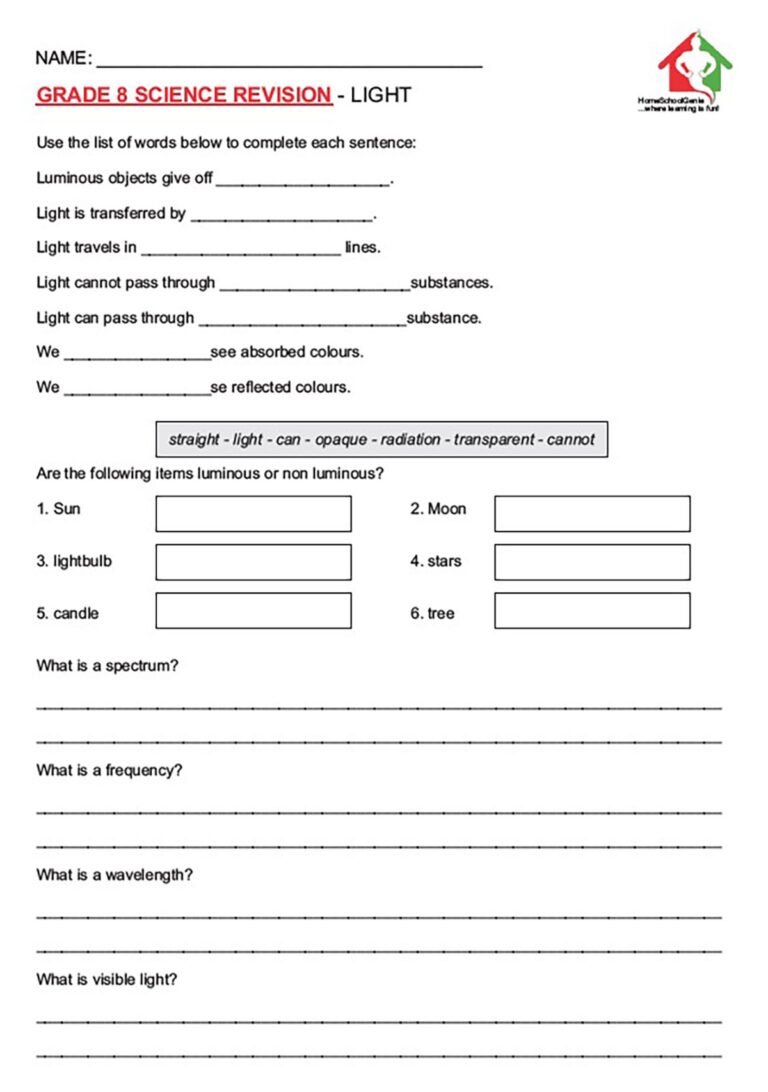 GRADE 8 SCIENCE LIGHT REVISION WORKSHEET