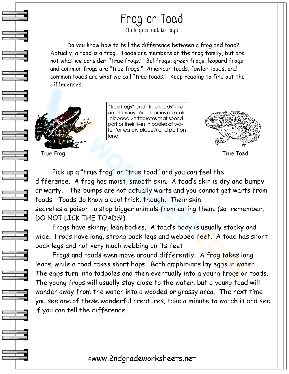 Grade 9 Informational Text Worksheets 2025