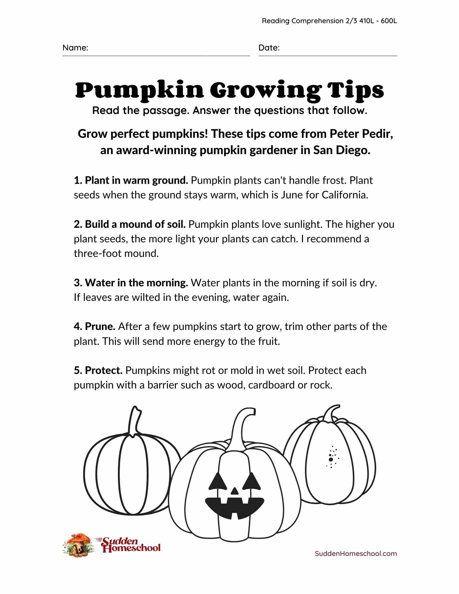 Halloween Reading Comprehension Worksheets 5th Grade