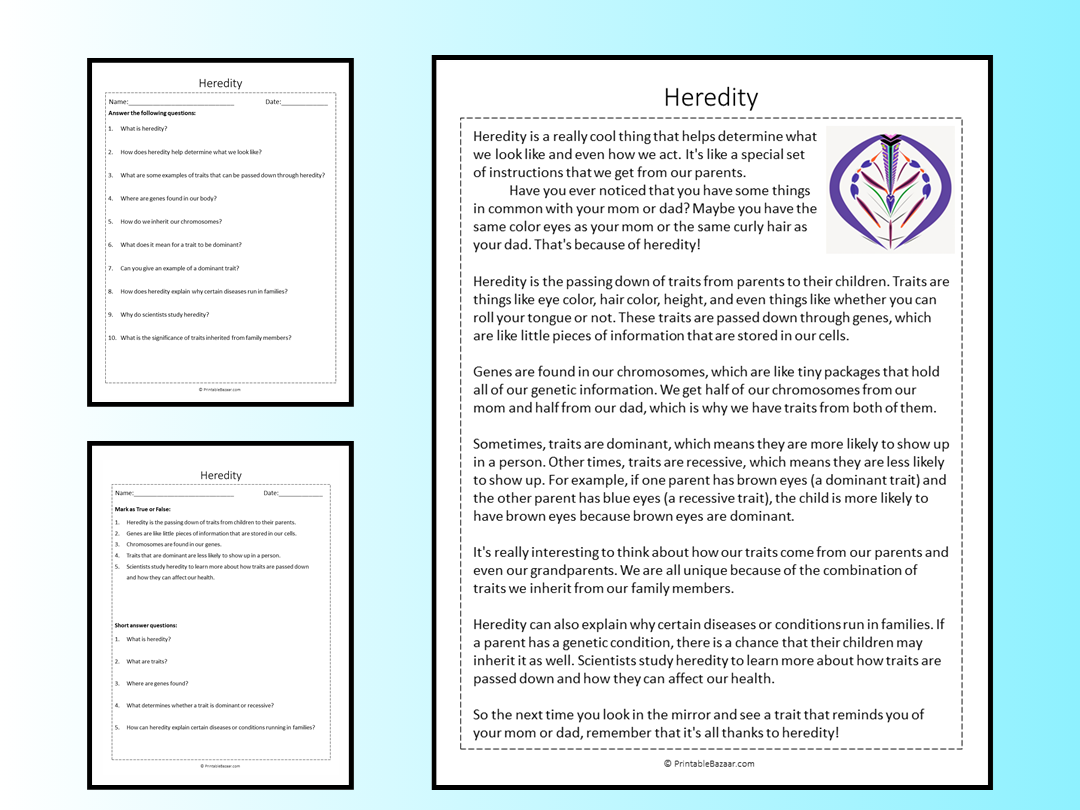 Heredity Reading Comprehension Passage Printable Worksheet Teaching Resources
