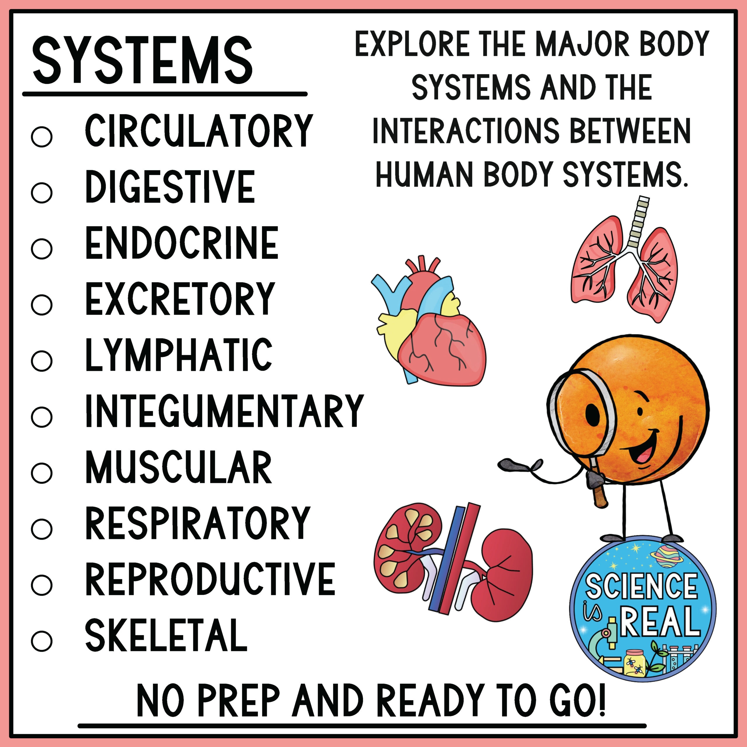 Body Systems Reading Comprehension Worksheets Pdf