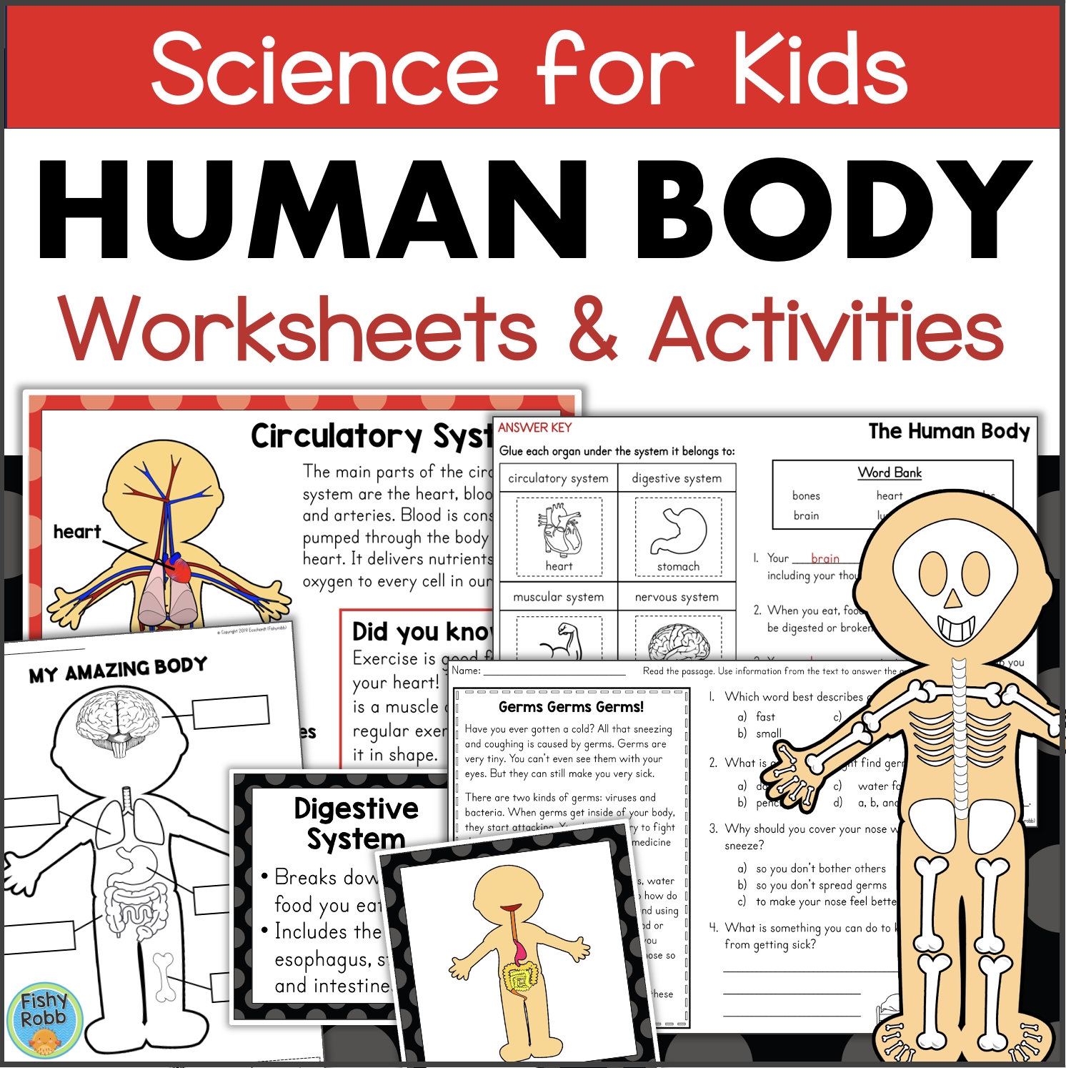 Human Body Systems And Organs For Primary Grades Science Posters U0026 Worksheets Homeschool Classroom Etsy
