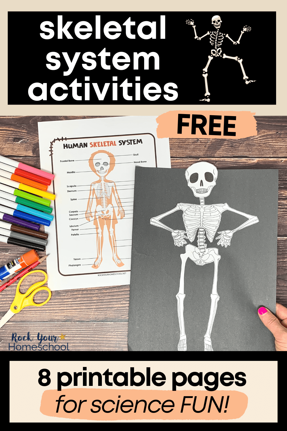 Free Printable Skeleton Worksheet