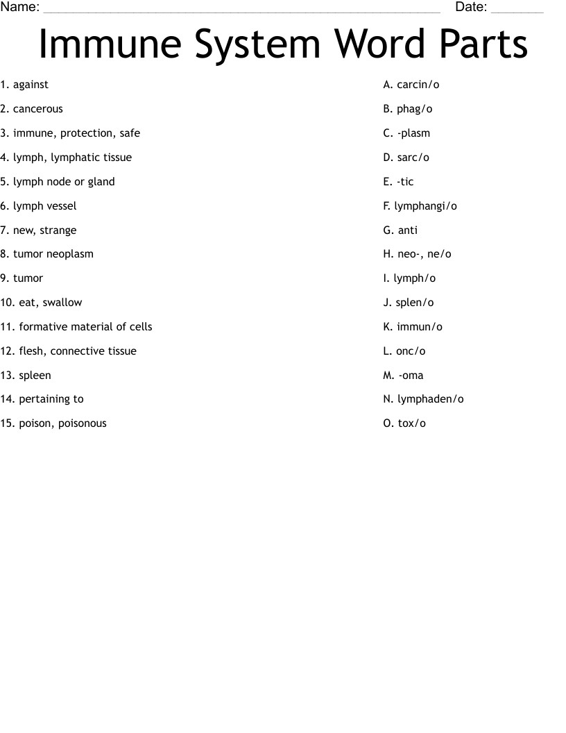 Immune System Word Parts Worksheet WordMint