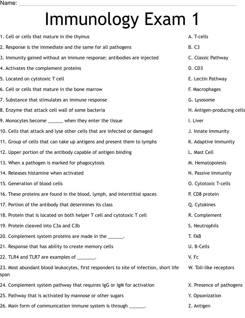 Free Printable Immune System Worksheet Pdf