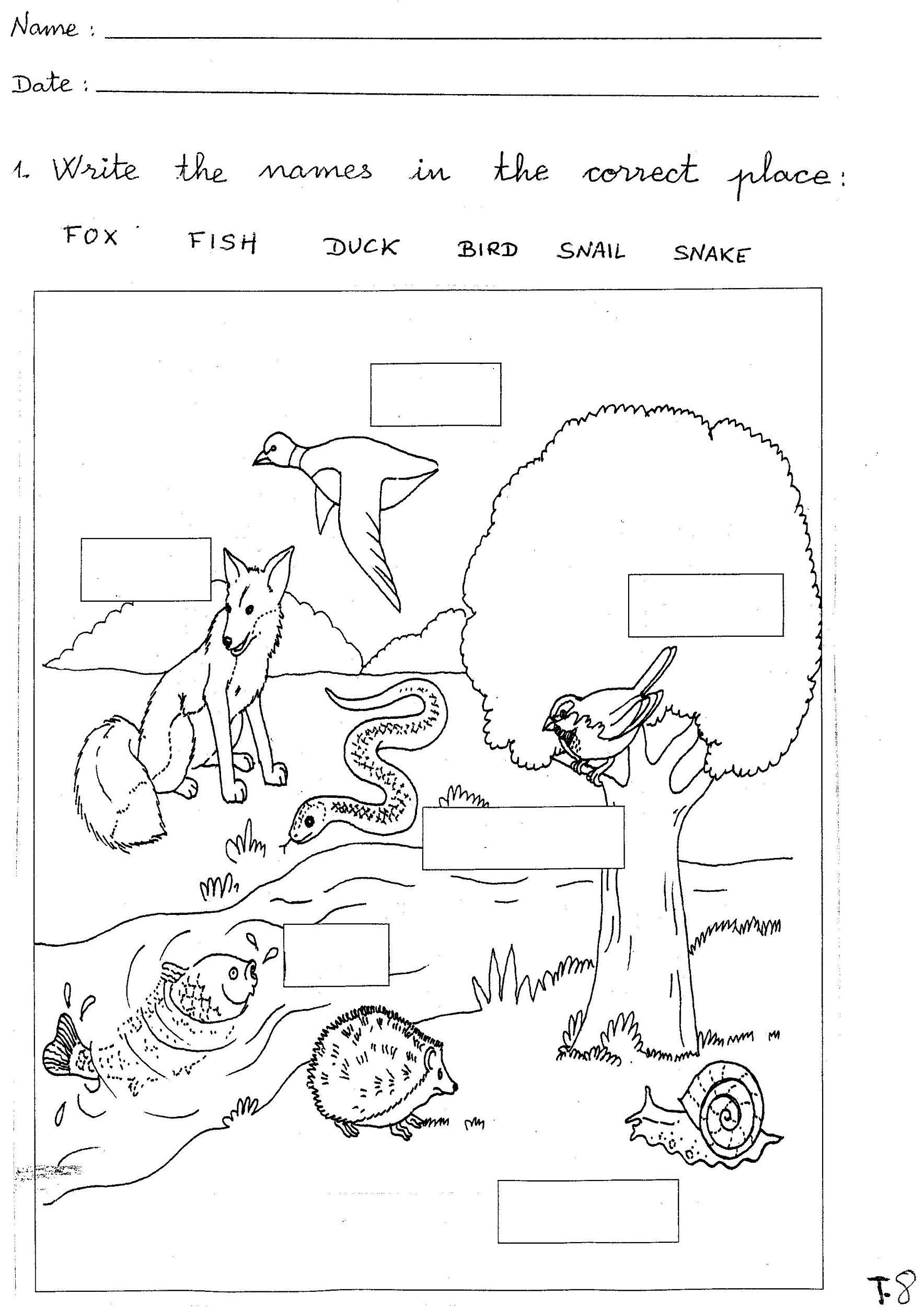 Free Printable Worksheets For Kids Science