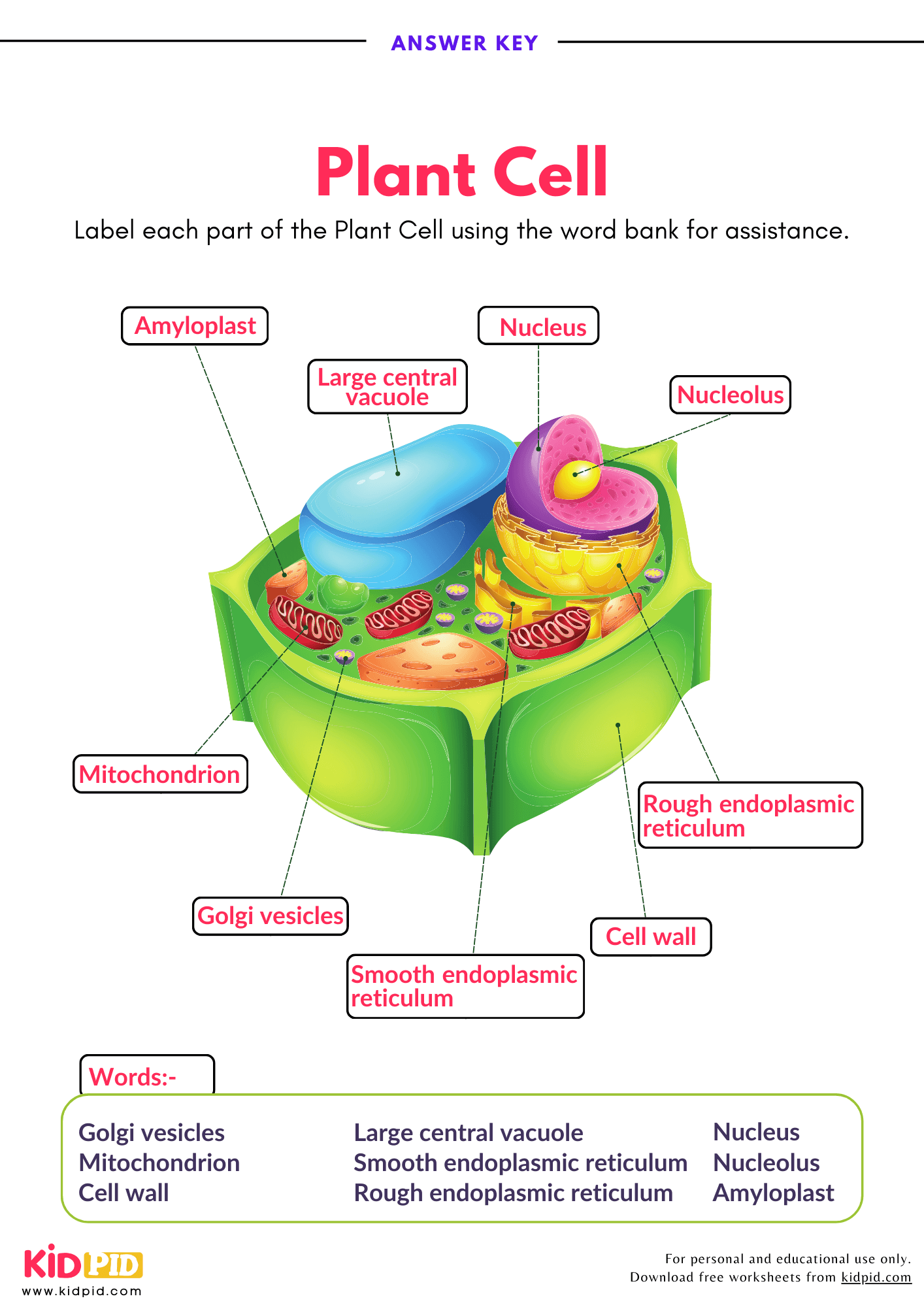 Label Parts Of Plant Cell Worksheet Kidpid