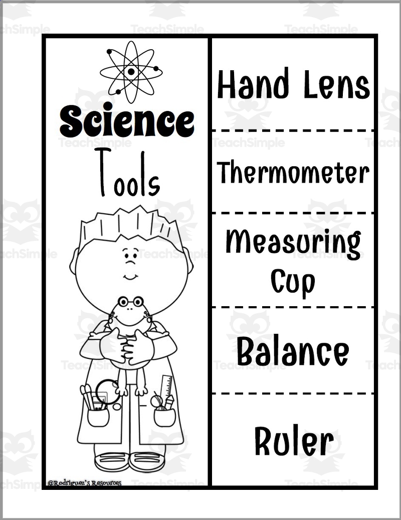 Lesson Science Tools BetterLesson Worksheets Library