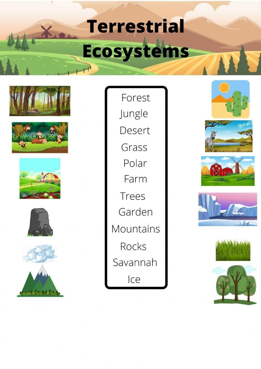 Levels Of Ecological Organization Worksheets Free Printable 