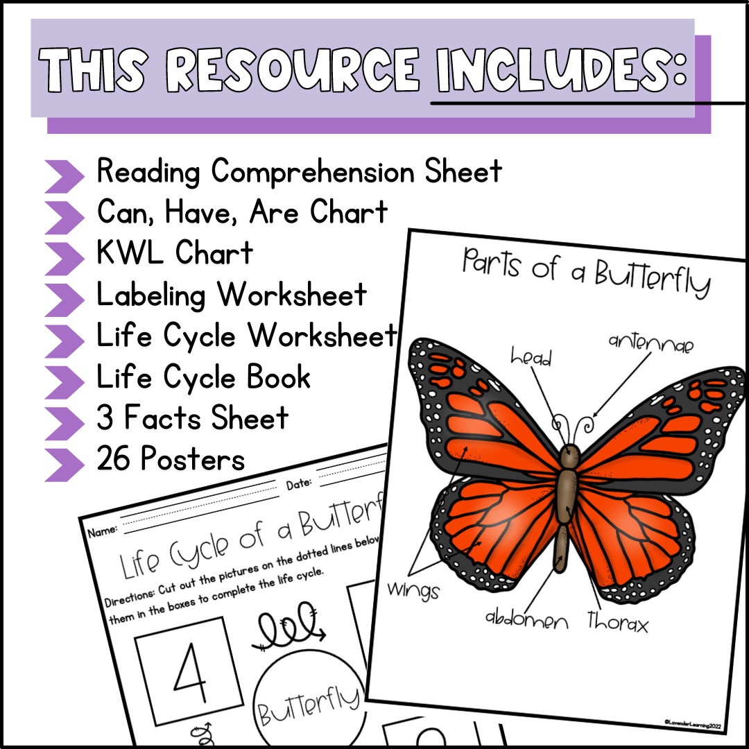 Life Cycle Of A Butterfly Activities Worksheets Booklet Butterfly Life Cycle