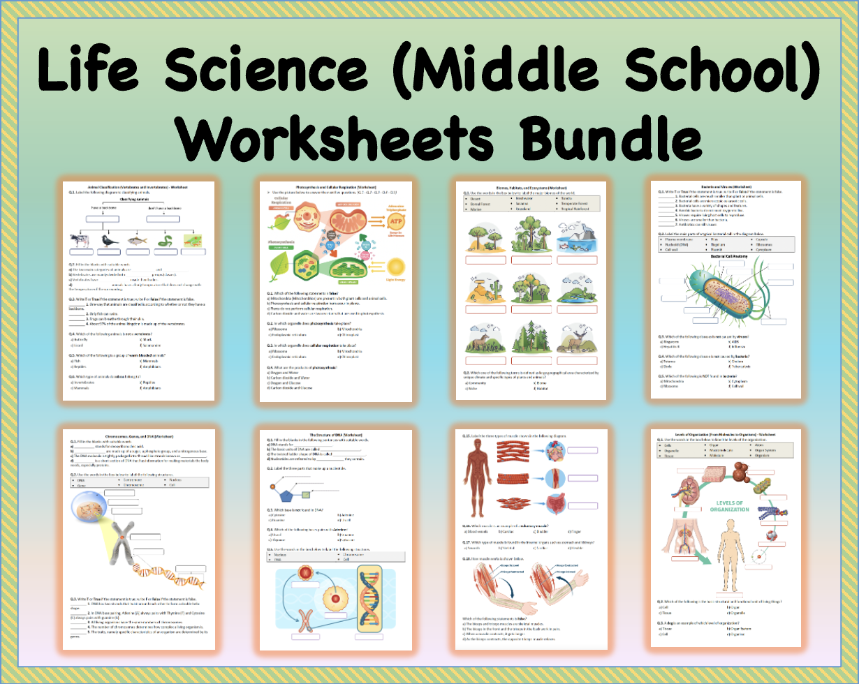 Free Printable Middle School Worksheets