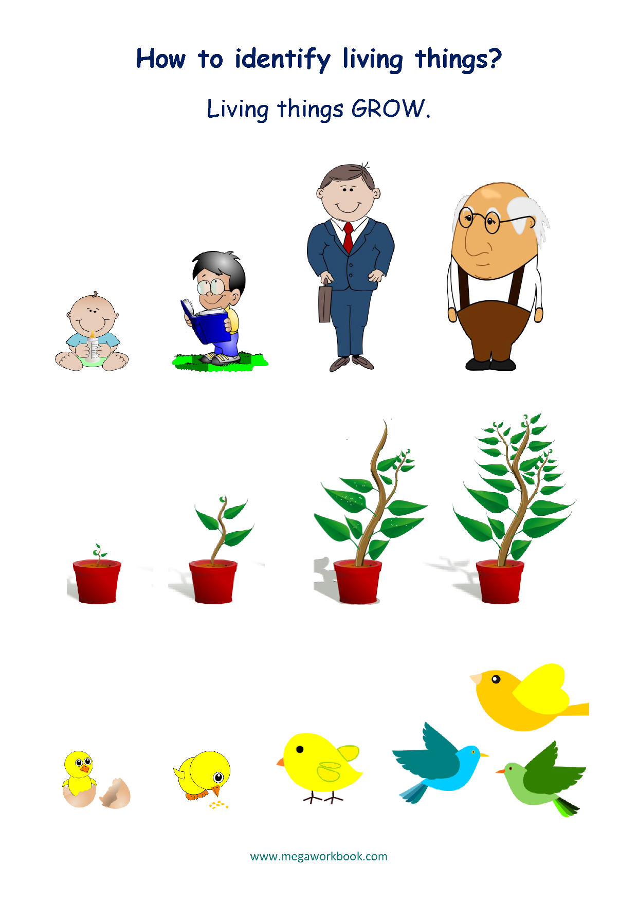 Living And Non Living Things Worksheets Characteristics Of Living Things MegaWorkbook