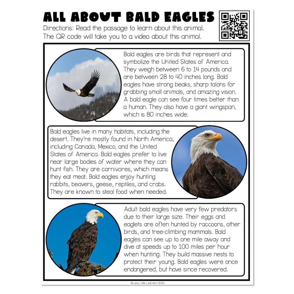 Lucky To Learn Writing Unit 3 Informational Week 6 Animal Report Research Passages All About Bald Eagles Lucky Little Learners