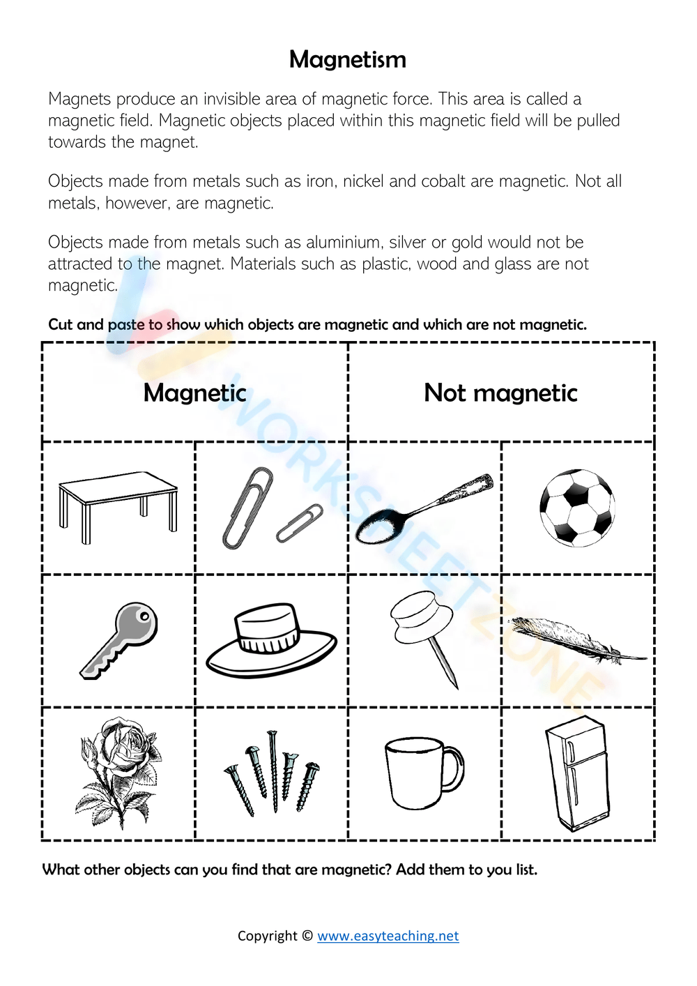 Magnetism Worksheets 2025