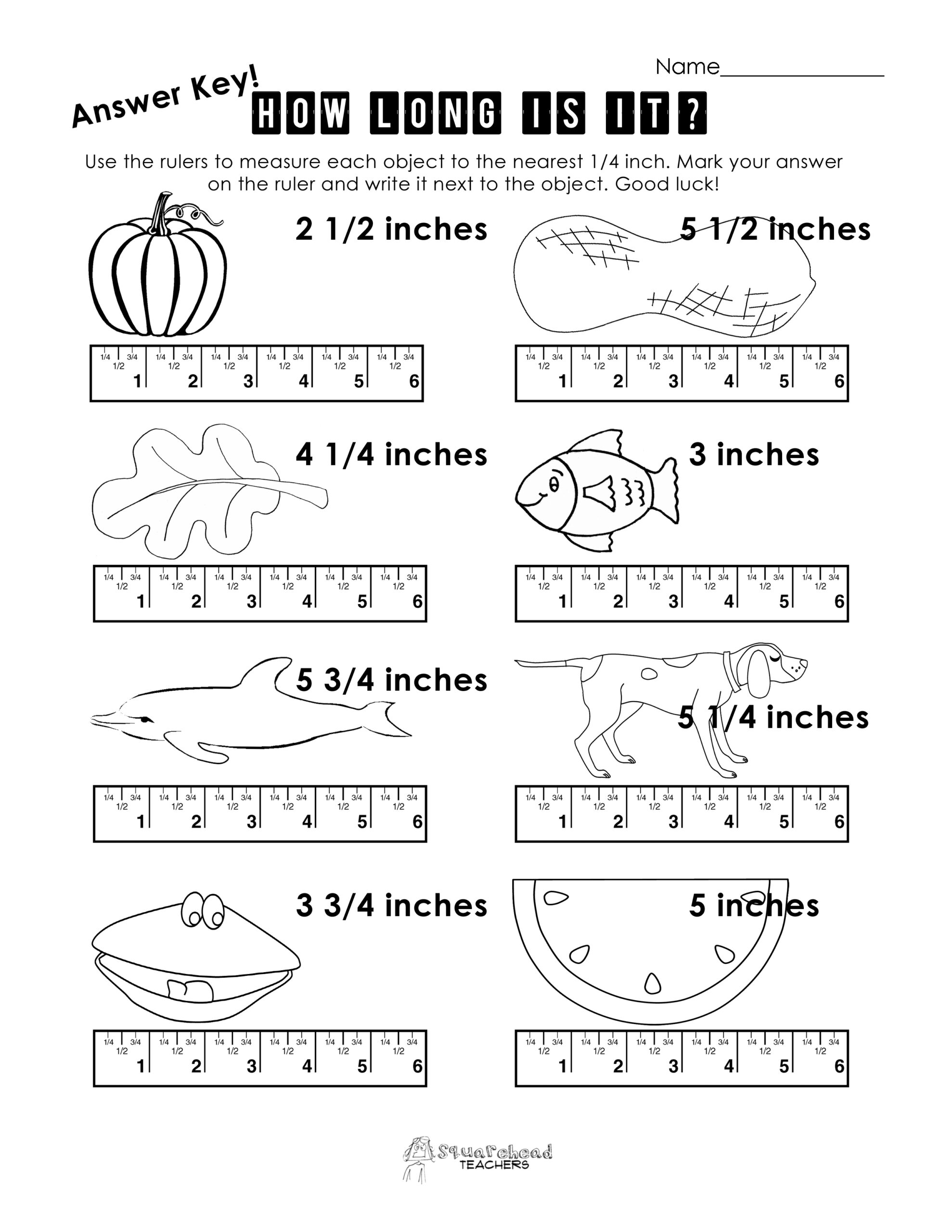 Measurement Practice 2 Squarehead Teachers Worksheets Library