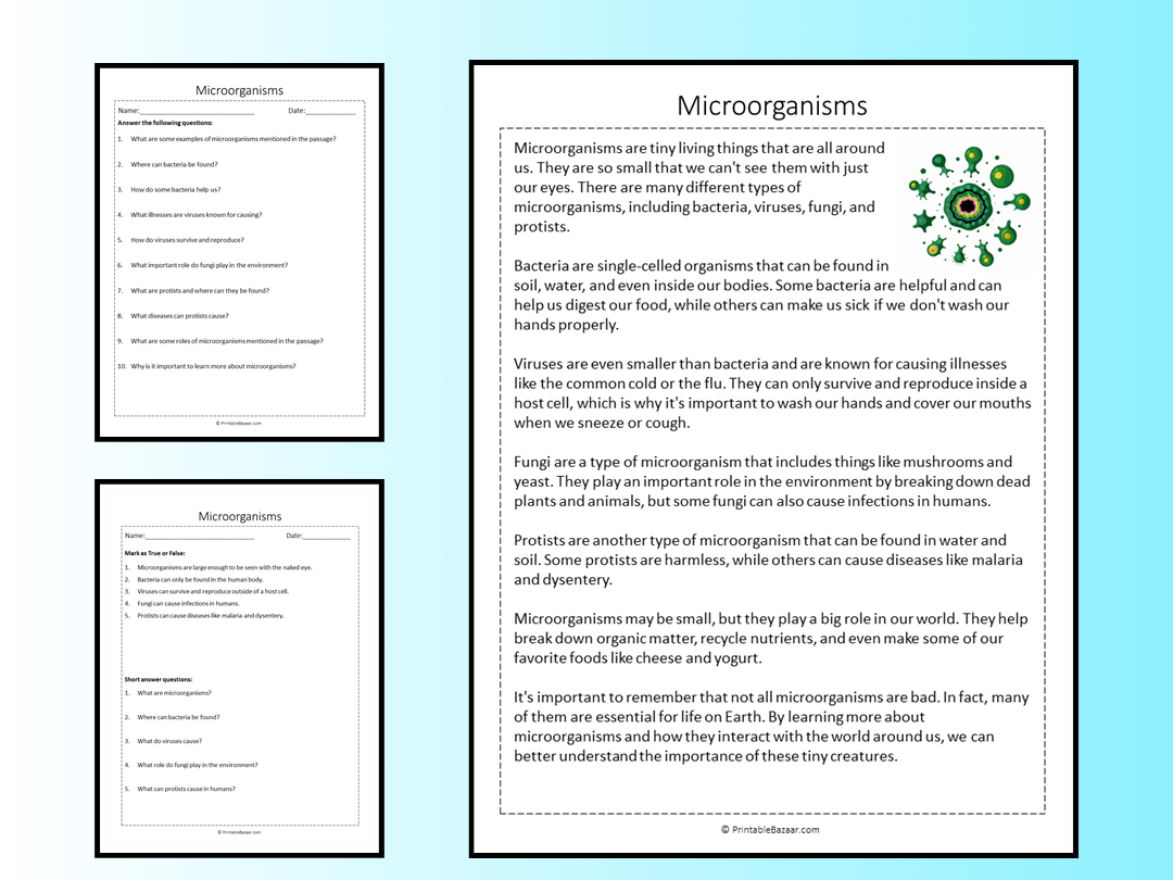 Microorganisms Reading Comprehension Passage Printable Worksheet Teaching Resources