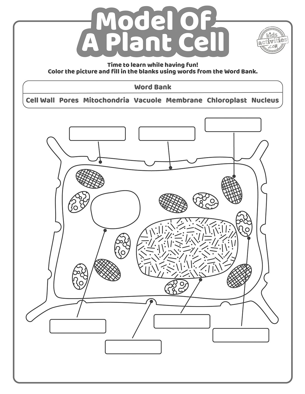 Model Of A Plant Cell Worksheet U0026 Coloring Pages Kids Activities Blog