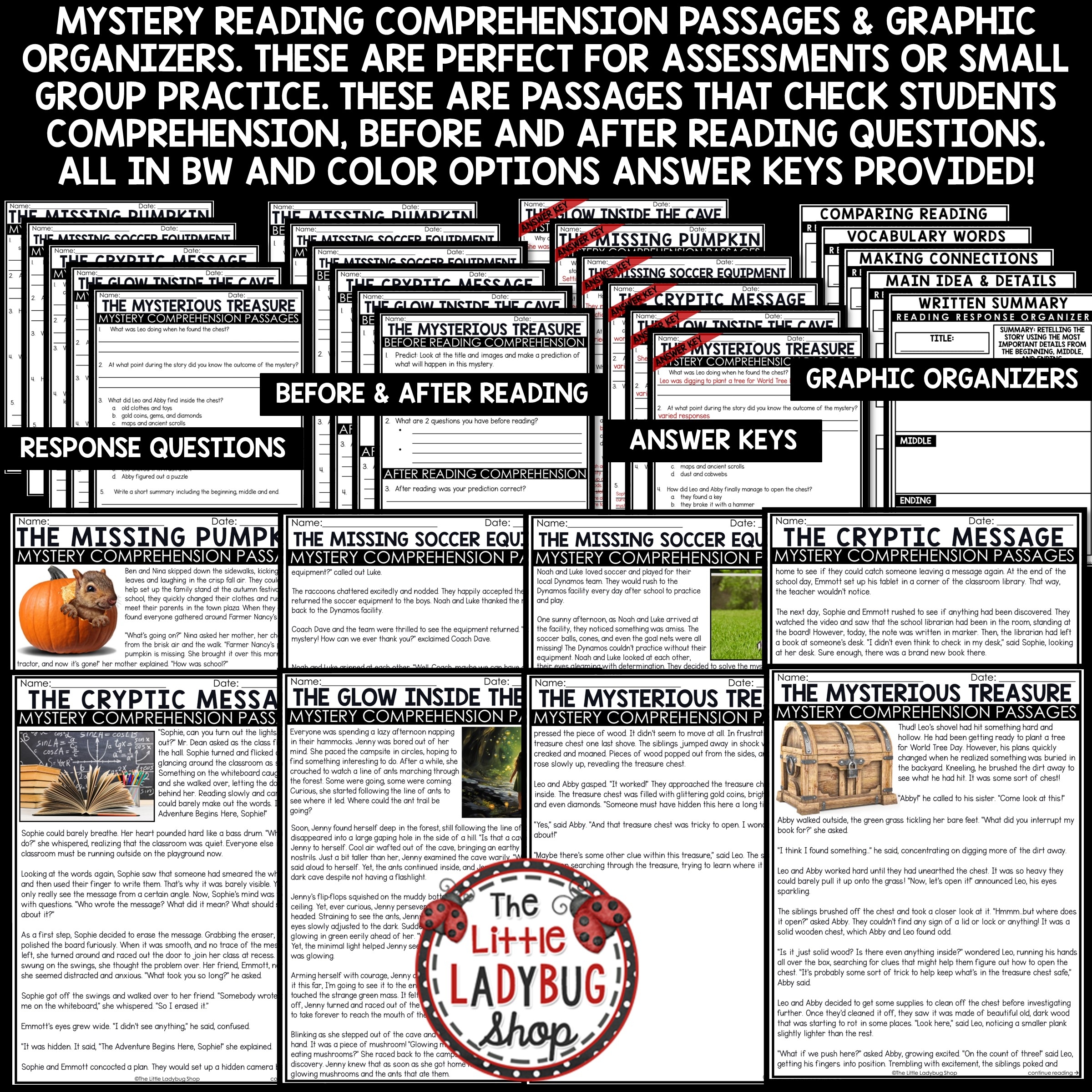 Mystery Reading Comprehension Passages The Little Ladybug Shop