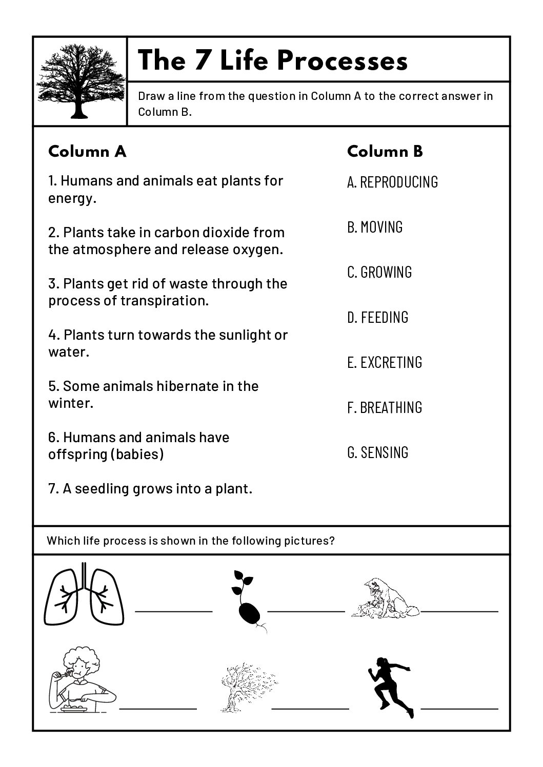 Science Worksheets 4th Grade Free Printable