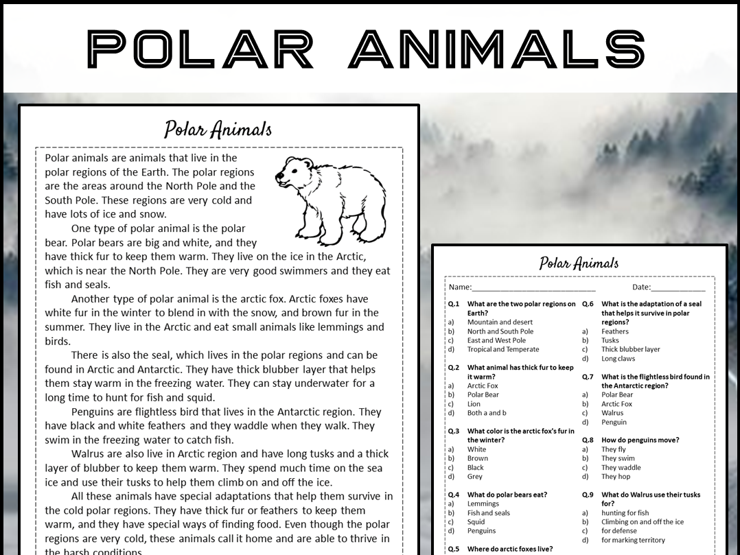 Polar Animals Reading Comprehension Passage And Questions PDF 