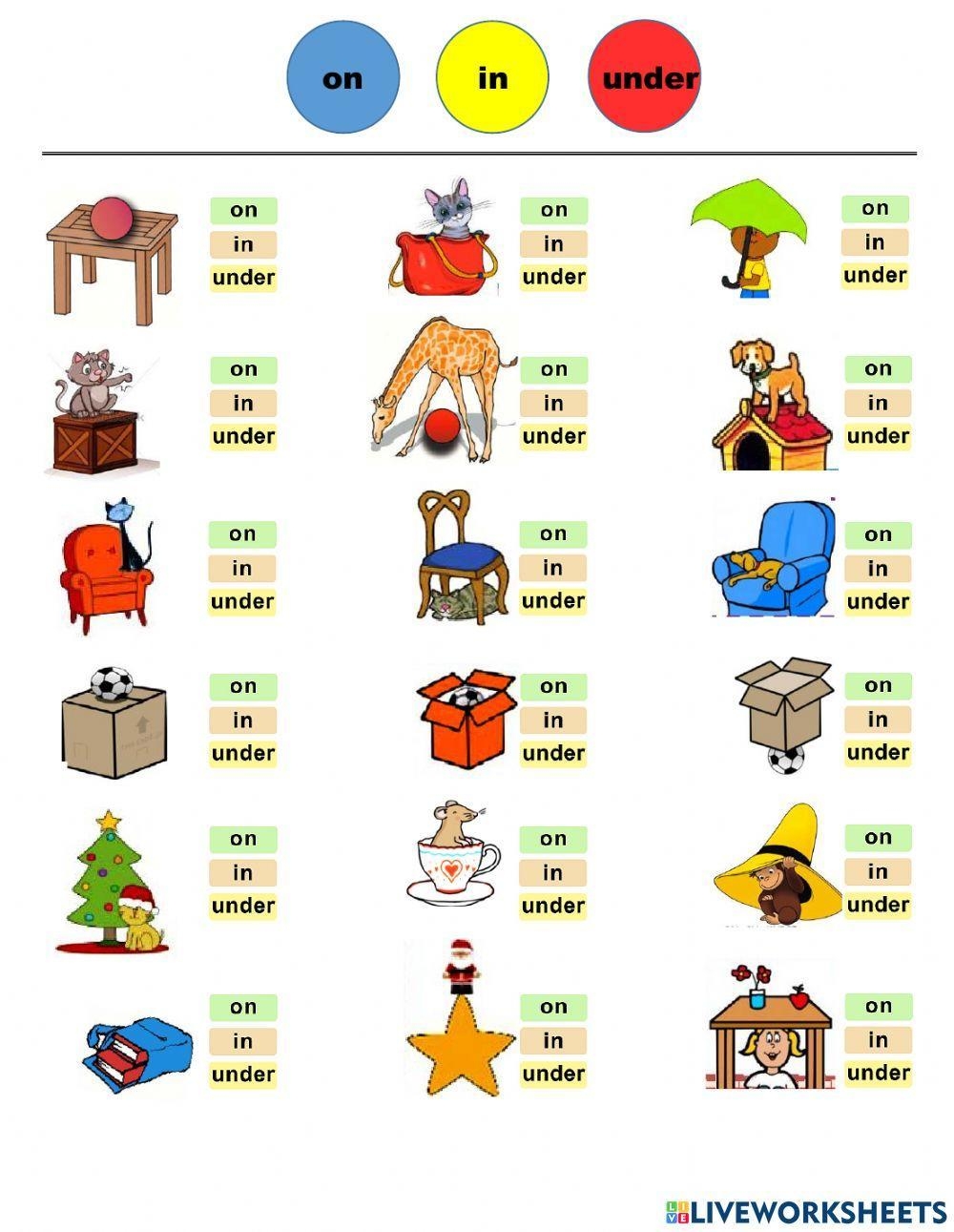 Prepositions Worksheet Free Printable Digital U0026 PDF 