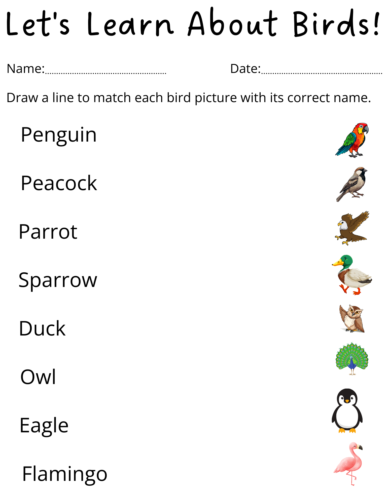Free Printable Bird Worksheets For Preschoolers