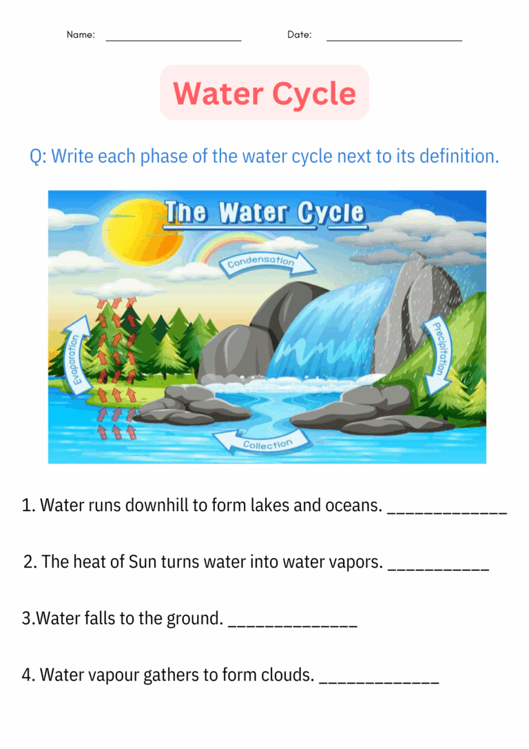 Printable Diagram Science Water Cycle Worksheet And Activities For 