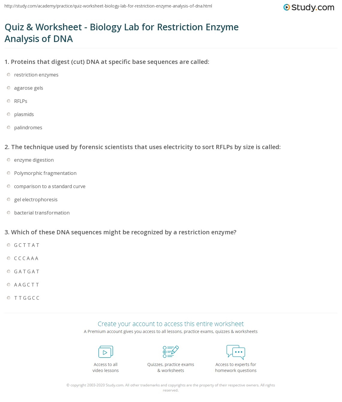 Quiz U0026 Worksheet Biology Lab For Restriction Enzyme Analysis Of Worksheets Library
