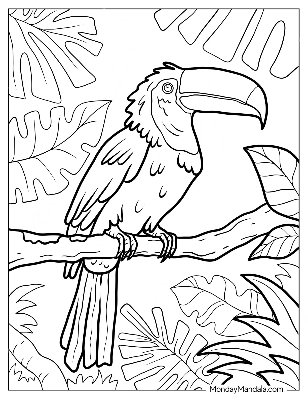 Rainforest African Animals Coloring Page Worksheets Library