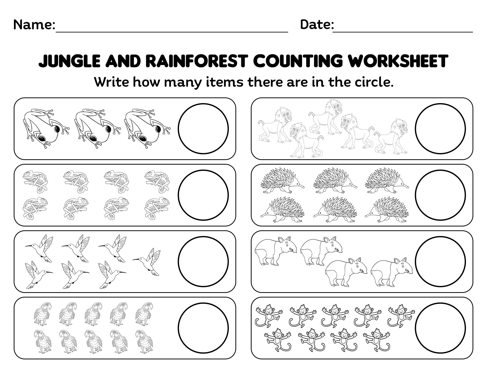 Rainforest For First Grade 10 Free PDF Printables Printablee