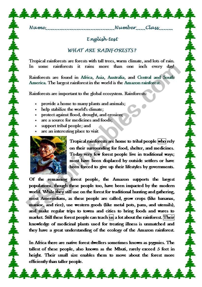 RAINFORESTS READING COMPREHENSION ESL Worksheet By 1961Anucha