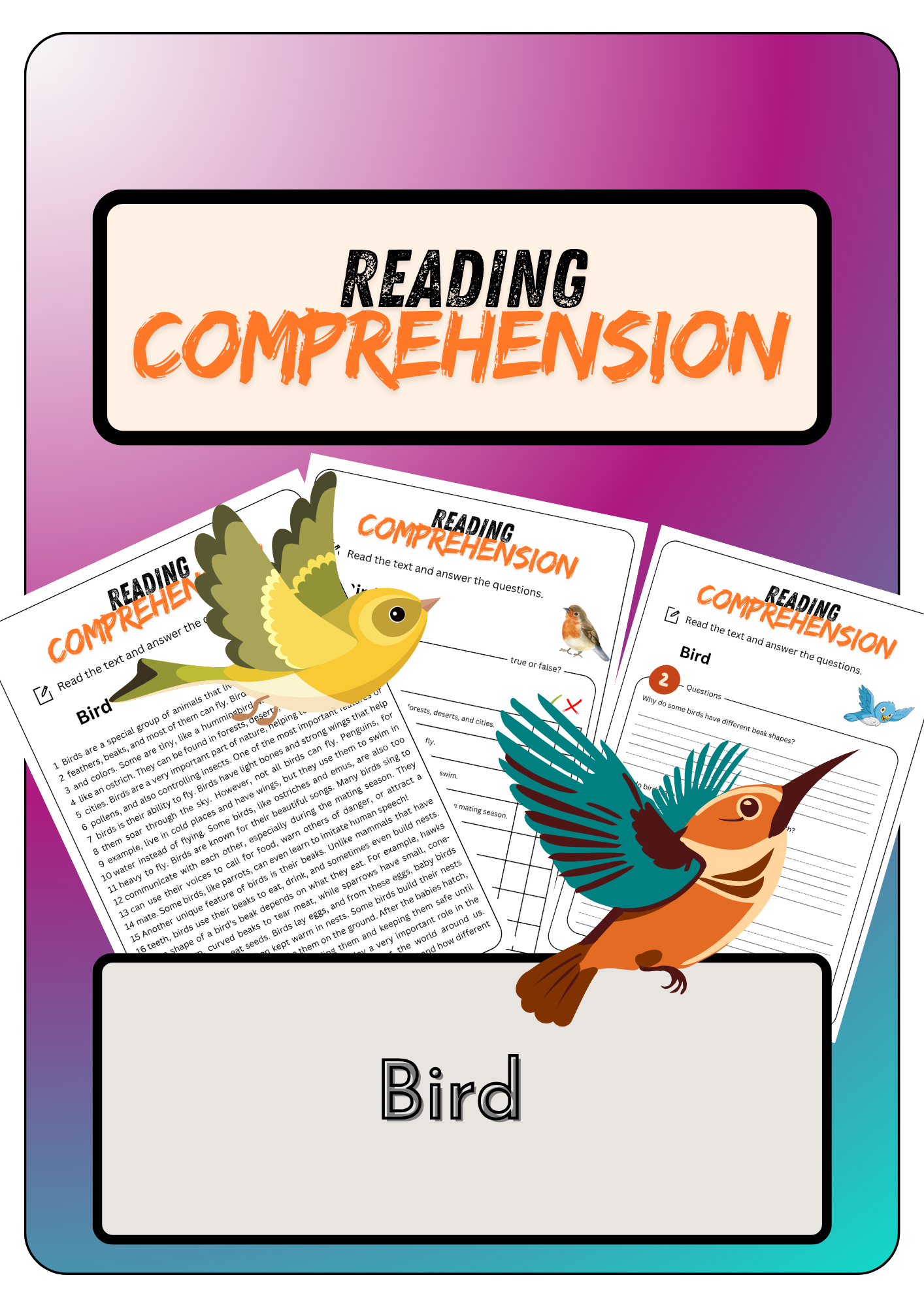 Reading Comprehension Bird Solutions Made By Teachers