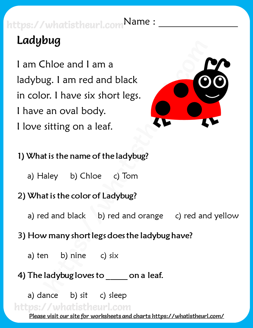 Reading Comprehension For Grade 3 Your Home Teacher