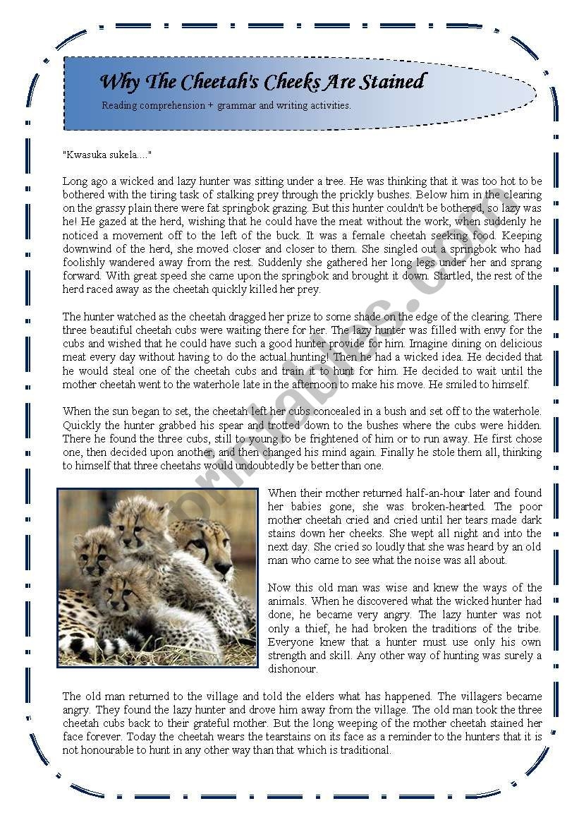 Cheetah Reading Comprehension Worksheets