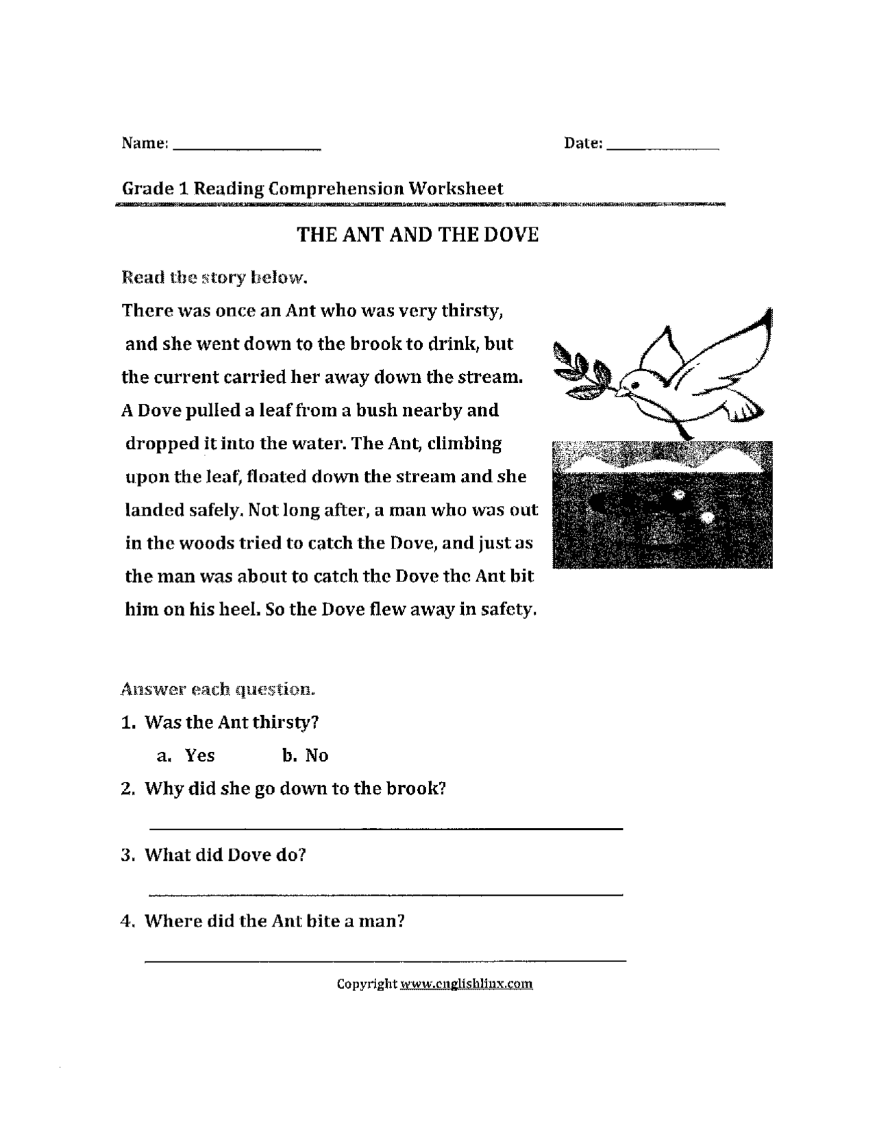 Ant Reading Comprehension Worksheets
