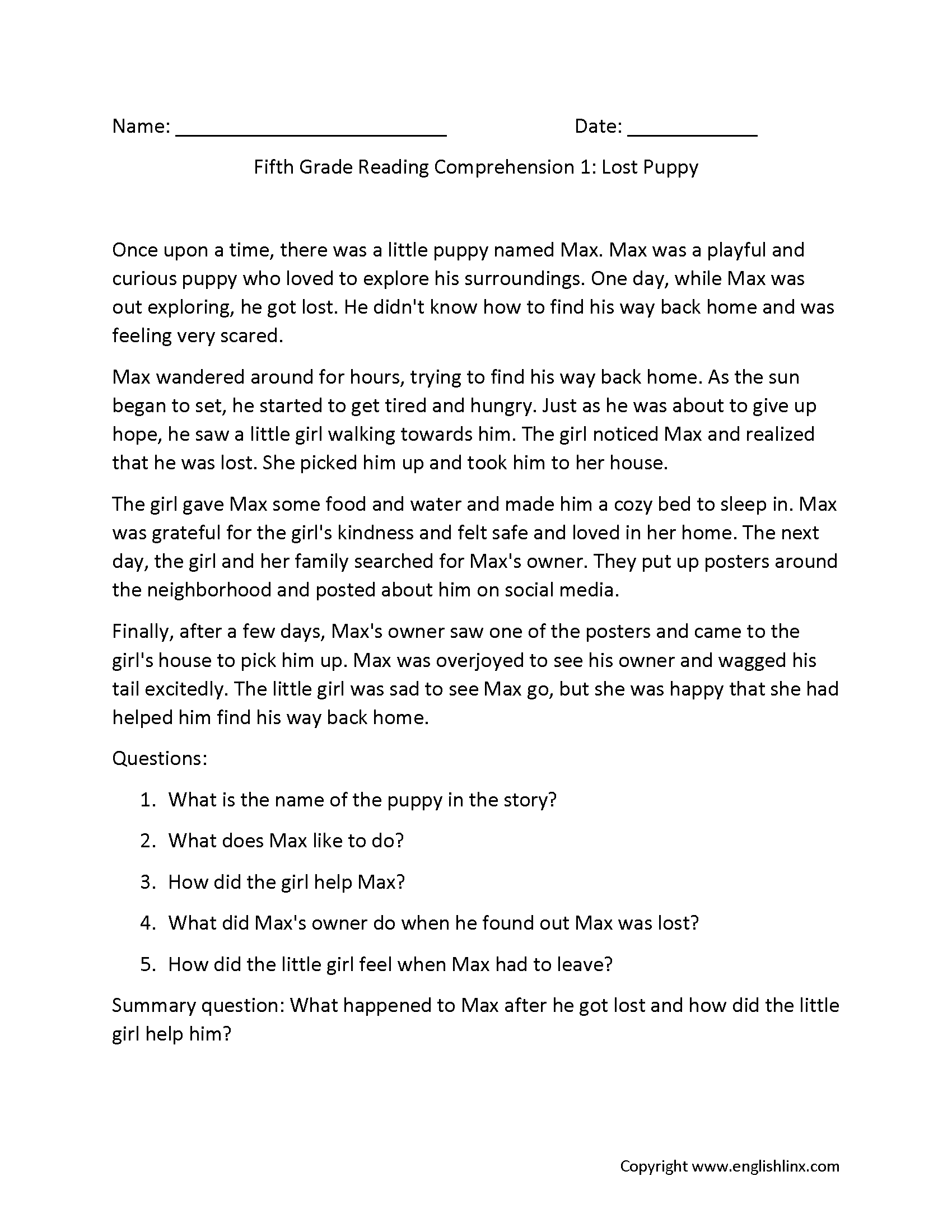 Fifth Reading Comprehension Worksheets