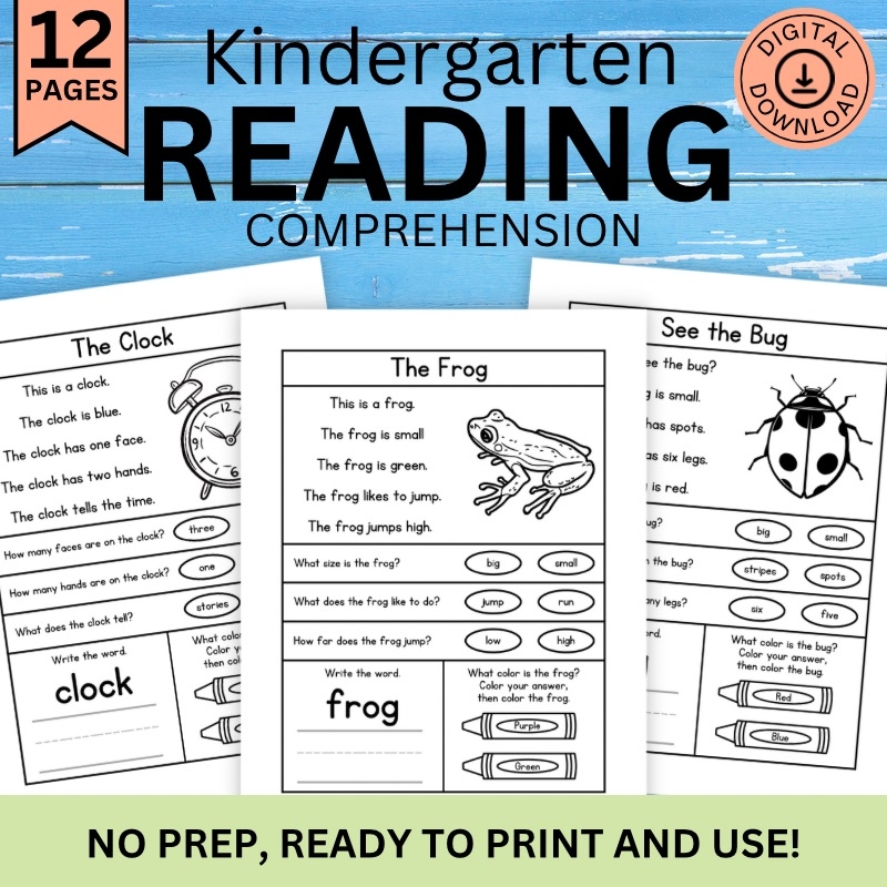 Reading Comprehension Worksheets For Preschool And Up Classful