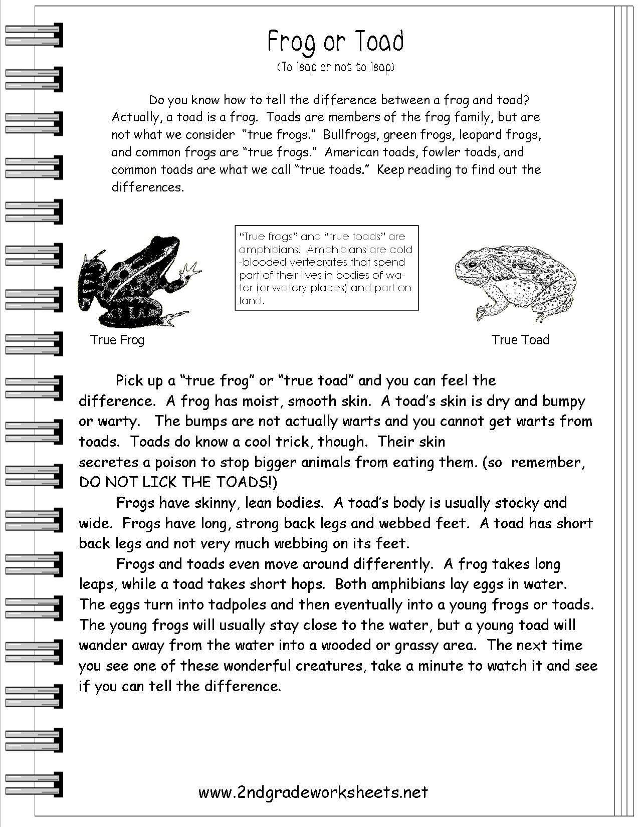 Reading Informational Text Worksheets Text Features Worksheet 