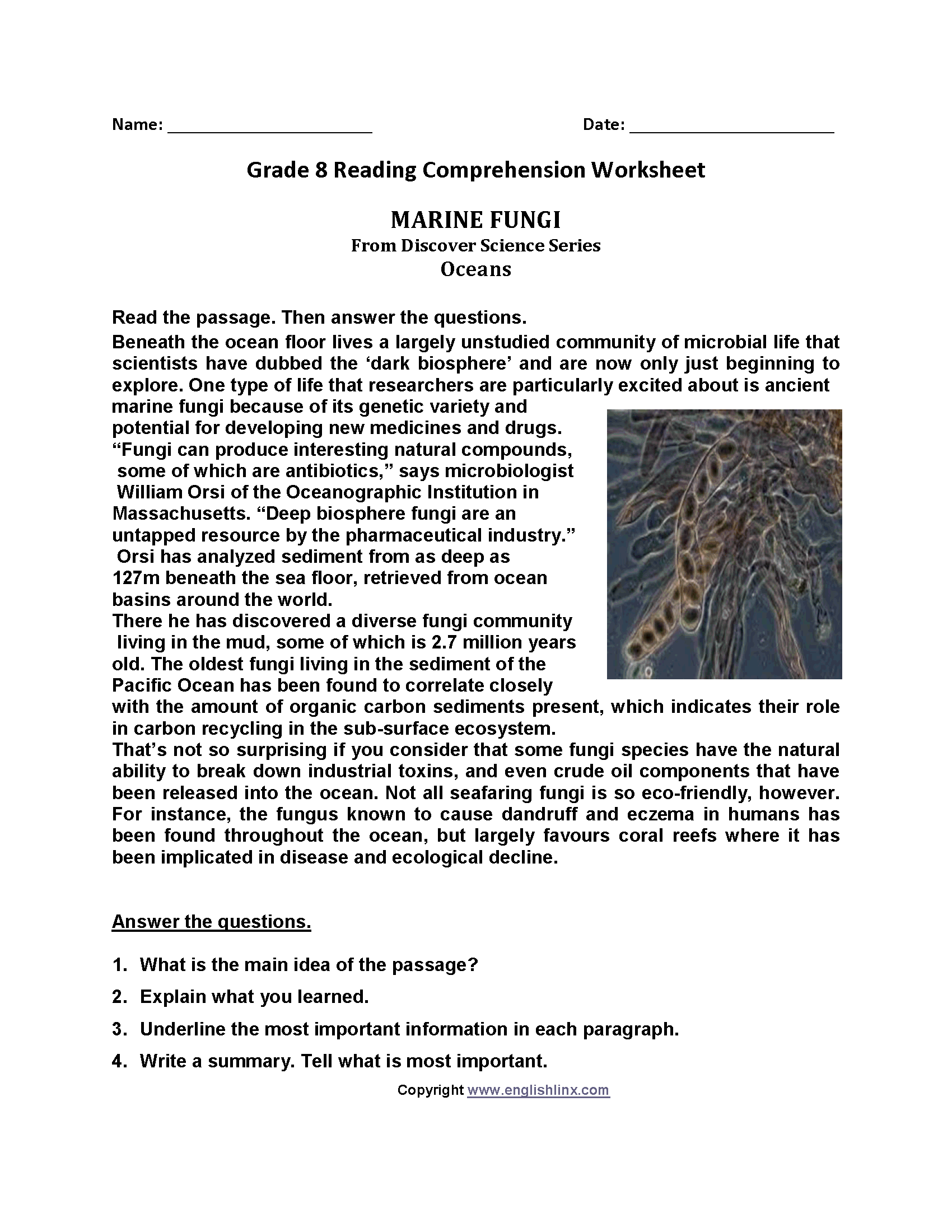 8th Grade Reading Comprehension Worksheets Printable