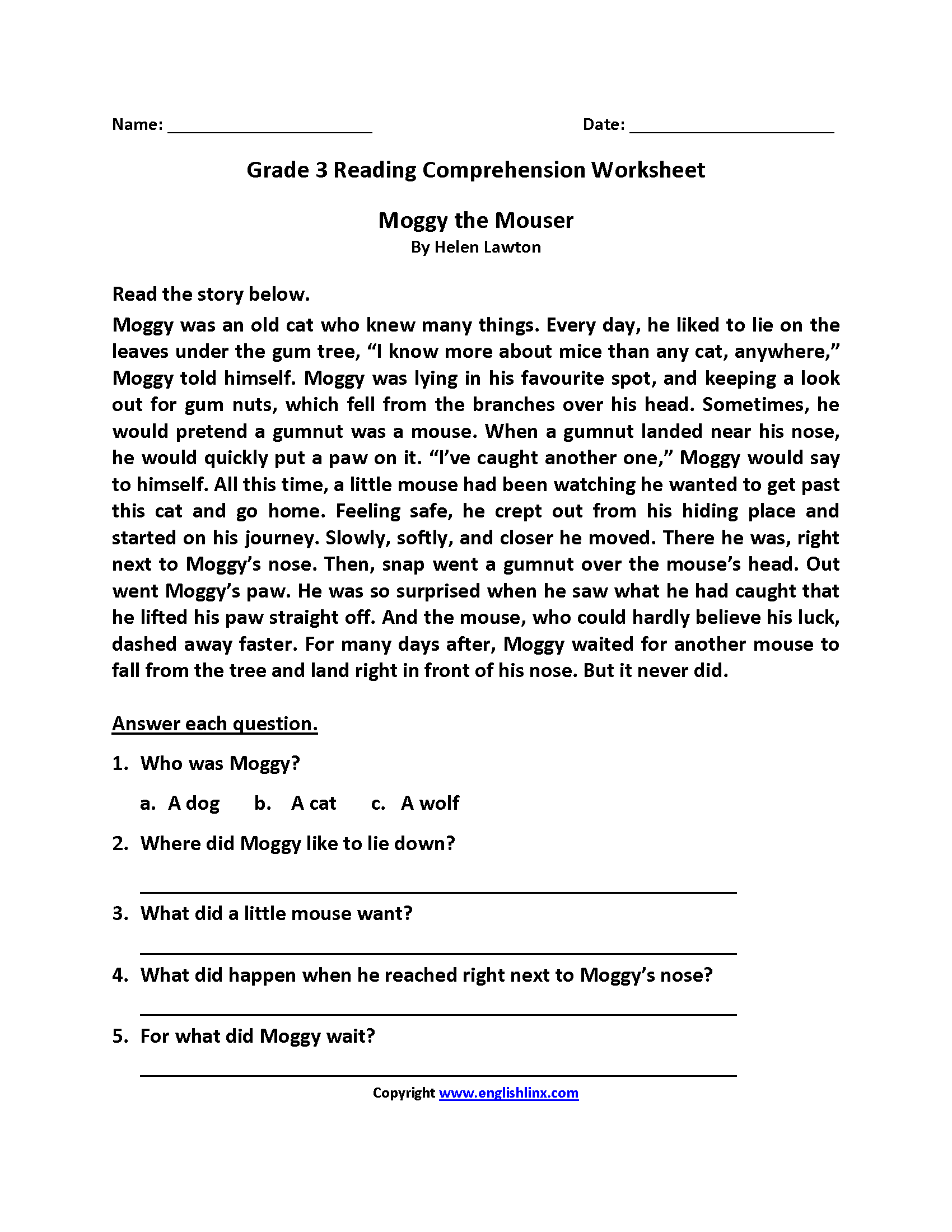 3th Grade Reading Comprehension Worksheets Pdf