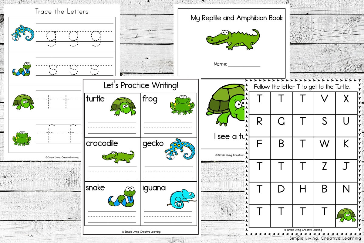 Reptiles And Amphibians Printables Simple Living Creative Learning